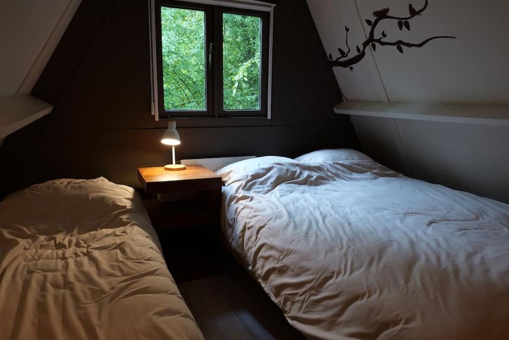 Chalet Sequoia 138 A 더뷔 외부 사진